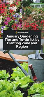 January Gardening Tips And To Do List By Planting Zone And Region Organic Gardening Tips Gardening For Beginners Gardening Tips