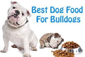 Helps reduce gas and stool odor. Best Dog Food For Bulldogs What Every Dog Owner Should Know The Jerusalem Post