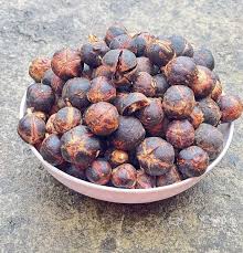 Image result for Azanza