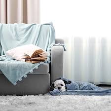 Smart queen weighted blanket honest review 2020 (amazon best sellers). Best Weighted Blanket For Pets Popsugar Family