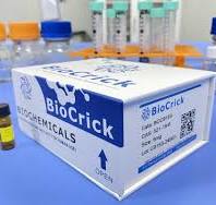 Stanolone | CAS:521-18-6 | High Purity | Manufacturer BioCrick