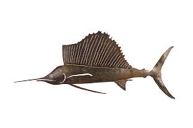Image result for sailfish
