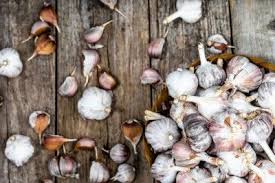 Comment Eplucher L Ail Plus Facilement Ail Odeur Trucs Et Astuces
