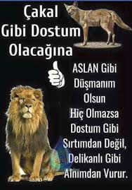 Nurcan Adli Kullanicinin Sozler Panosundaki Pin Guzel Soz Duygular Burclar