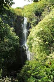 Road to hana maui, hawaii waterfall stop, narrow road, bridge, our group. Road To Hana Wailua Falls Maui Divergent Travelers Trip To Maui Road To Hana Maui Travel