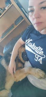 Does anyone know this lost cat?