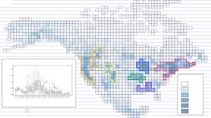 Image result for Hypolytrum goetghebeur