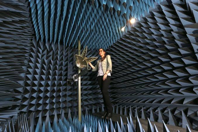 What is an Anechoic Chamber? Find Out How They Work