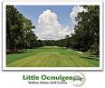 Wallace Adams Golf Course at Little Ocmulgee State Park & Lodge ...