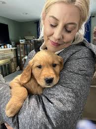 Welcome to your amazing family little man. You've hit the jack pot! Ezra  {newborn} Kayla O'Rick Nick O'Rick