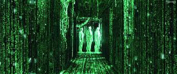 The best gifs are on giphy. Matrix Code Gifs Get The Best Gif On Giphy