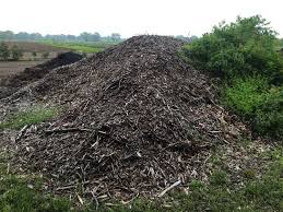 Free wood chips we offer free wood chips in raleigh, cary, durham, apex, chapel hill, wake forest, garner, holly springs, clayton, and surrounding areas of nc. Turning Free Wood Chips Into Amazing Compost Growing Soil Mike S Backyard Nursery