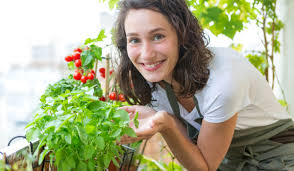 Naturally, then, it makes for a great addition to your balcony vegetable patch. Growing Vegetables In Pots On Balcony Gardeninghow Com