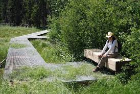 Design With Nature Ltd On Twitter Landscape Architecture Design Landscape Architect Landscape And Urbanism