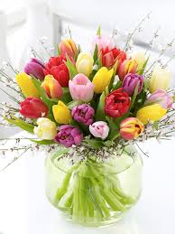 Spring has sprung and so are the flowers. 5 Fun Facts About Tulips Ferns N Petals