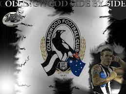 We've gathered more than 5 million images uploaded by our users and sorted them by the most. Afl Wallpapers Wallpaper Cave