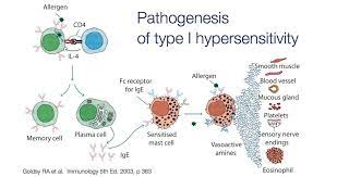 Pin On Nursing Integumentary