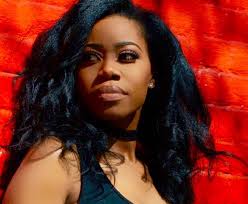 Timeline to achieve 1 million streams · No Labels Necessary