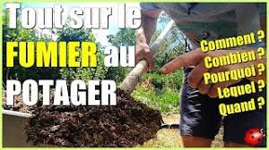 le fumier au potager tout savoir ou presque youtube