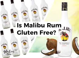Malibu rum malibu coconut, 1.75 l: Is Malibu Gluten Free Updated 2021 Glutenbee