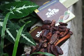 Pagi hari engkau nampak segar daun hijau tertetesi embun pagi yang jernih puisi bunga matahari. Embun Pagi Dan Rerumputan Hijau Daun Dan Warna Bunga Kicau Burung Yang Hinggap Di Dahan Matahari Bersinar Terang Dan Semua Ini Semakin Cokelat Coklat Indonesia