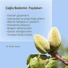 Huzur Sokagi Yasamaya Deger Hobiler Dogal Saglikli Gidalar Saglikli Olmak