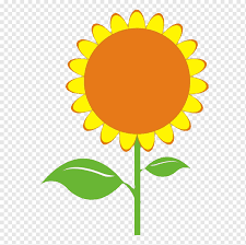 Beginilah contoh lukisan bunga sakura simple populer.kubisme itu seni lukis yang cenderung melakukan abstraksi pada lukisan kubisme ada berbagai bentuk ada yang seperti bunga dan ada juga yang menggambarkan wajah. Bunga Matahari Umum Ilustrasi Biji Bunga Matahari Bunga Matahari Daun Sederhana Oranye Png Pngwing