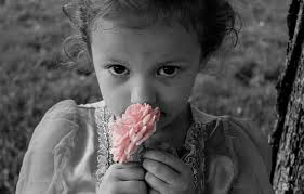 Really love the black and white with the color to pop 📸📸