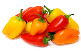 Graines De Mini Poivrons