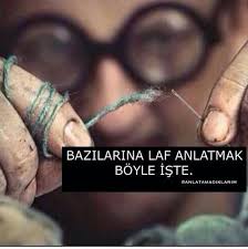 Cahile Laf Anlatmak Deveye Hendek Atlatmaktan Daha Zor Ozlu Sozler Guzel Soz Siir