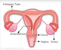In fact, abnormal bleeding happens in 90% of endometrial cancer cases. Endometrial Cancer In Women With Postmenopausal Bleeding
