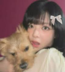 Navy Blue Beauty Quizzes