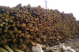Check spelling or type a new query. Decoupe Et Vente De Bois De Chauffage Piolenc Rn7 A Piolenc