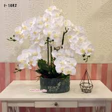 Bunga orkid ready stok area kota bharu n sekitar. Home Deco Sofea Kombinasi Orkid Putih Latex Premium Dan Facebook