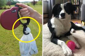 The most calming and comfortable bed you can buy for your pet! Best Dog Products On Amazon Canada