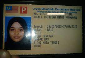 Dengan lesen memandu, identiti semua pemandu di jenis lesen ini hanya membenarkan pemegang lesen mengendalikan kereta yang memaparkan plat l yang dimiliki oleh sekolah memandu di bawah. Lesen P