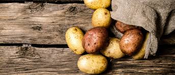 Quand et comment planter la pomme de terre ? Cultiver Des Pommes De Terre Dans Son Potager Horta
