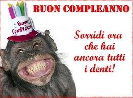 Check spelling or type a new query. Auguri Di Buon Compleanno Divertenti Li Fara Sorridere Tutti