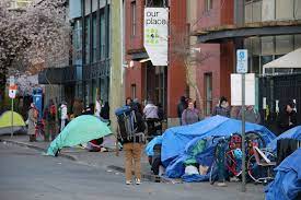 Dog rescued after being stranded on edge of bc ferries vessel. Homeless Woman Sentenced To 18 Months In Jail For Selling Drugs To Victoria Police Officer Victoria News