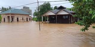 Sebagai contoh, topik tentang indonesia adalah satu topik yang masih sangat umum. Banjir Kalimantan Selatan 2021 Wikipedia Bahasa Indonesia Ensiklopedia Bebas