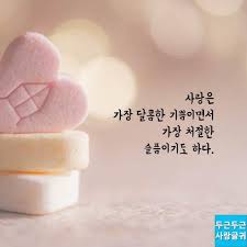 사랑은 기쁨이면서 슬픔이기도 하다 사랑은 사랑 카드 인생 인용구