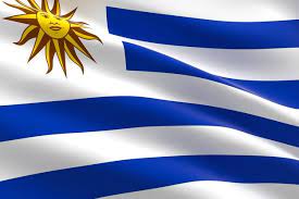 Schau dir unsere auswahl an uruguay flag an, um die tollsten einzigartigen oder spezialgefertigten handgemachten stücke aus unseren shops für wandbehänge zu finden. Bilder Uruguay Flagge Gratis Vektoren Fotos Und Psds