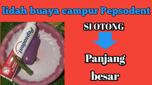 Lidah Buaya Campur Pepsodent Bikin Si Otong Kalian Panjang Besar Youtube