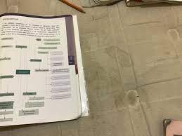 Libro completo de formación cívica y ética sexto grado en digital, lecciones, exámenes, tareas. Libro Sep Formacion Civica Y Etica 5 Grado Respuestas