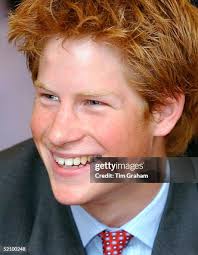 313 Harry Hawk Stock Photos, High-Res Pictures, and Images