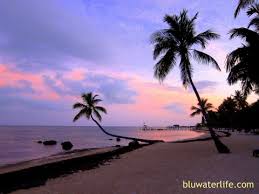 In islamorada on beach road, mm 81.6 (ocean side) you'll discover a quiet, tropical beach that is stunning and one of the longest (1,100' of white sand) in the florida keys. Islamorada Moorings Village Bluwaterlife