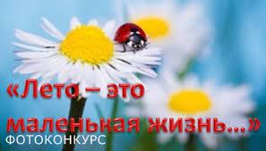 Я замерз, укутываясь в твой холод, и пошел на улицу встречать лето. Https Xn 25 Mlcao3abhfqg Xn P1ai News 278 Fotokonkurs Leto Eto Malenkaja Zhizn Html