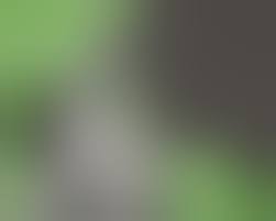 Furry scat porn comic - Best adult videos and photos