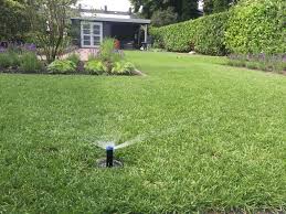 automatisch planten water geven hoe vaak en wanneer planten water geven tuintips tuin inspiratie