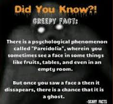 Pin On All Facts About Paranormal